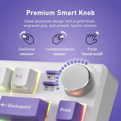 iRocks K103R Wireless Rechargeable RGB 75% Mechanical Gaming Keyboard, Hot Swappable Pre-lubed Switches, 81 PBT Keys, Gasket Mount, USB-C Detachable Cable (Lavender Purple, Bubble Switch) - color: Lavender Purple, size: Bubble Switch