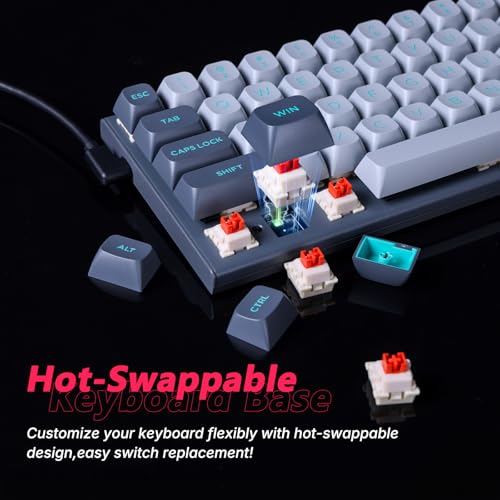 E-YOOSO Hz-61 60% Wired RGB Gaming Keyboard, Magnetic Switch, Hot-Swap | 8000Hz polling, rapid trigger, DKS/MT/TGL, 14 RGB modes, double-shot PBT keycaps, Type-C detachable, compact design.