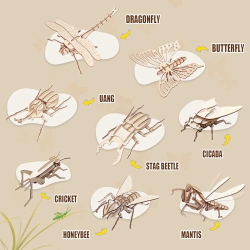 ELX Wooden 3D Puzzles for Kids 6+, 8 Piece Set Insect Animal Models, Wood Building Kits DIY Wooden Crafts Stem Toys peresents for Kids and Adults - style: 3D-Insects