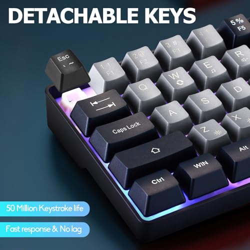Guiheng Wired Portable 60% Mechanical Gaming Keyboard,RGB LED Backlit Compact 68 Keys Mini Wired Office Keyboard with Red Switch for Windows Laptop PC Mac -Grey and Black - color: grey and black