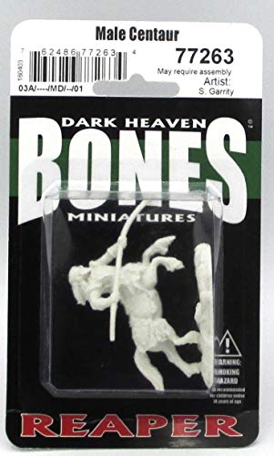 Reaper Bones Male Centaur with Spear