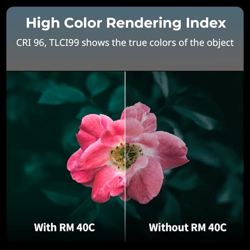 SmallRig RM 40C Mini LED RGB Video Light, 4800mAh Battery, LCD Display, Portable Camera Light for Tiktok Youtube Content Creators Photographer Gifts, 2500K-10000K CRI 96 TLCI 99, Magnetic Mount - 5359 - color: 40C RGB