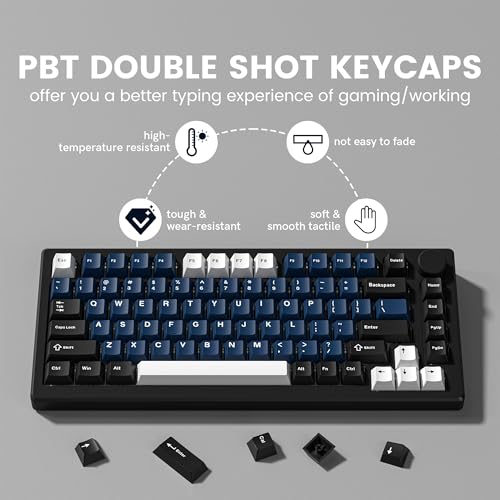 dagaladoo Double Shot PBT keycaps Set, Cherry Profile Keyboard Keycaps | 138-keys retro key caps full size,Custom keycaps for 60% 65% 75% 100% Cherry-MX switch Mechanical Keyboard（White/Black/Blue) - color: Black/Blue/White
