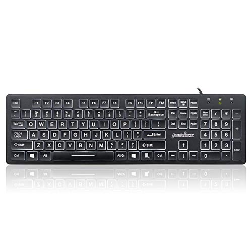 Perixx PERIBOARD-317 Wired Backlit USB Keyboard, Big Print Letter with White Illuminated LED, US English Layout,Black - style: White Backlit