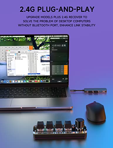 One-Handed Macro Mechanical Keyboard, 4 Keys Gaming Keyboard Fully Programmable for Knobs and Keys, OSU Keypad Hotswap Keypad with RGB for Game Editing PS - color: 4Key 2.4G