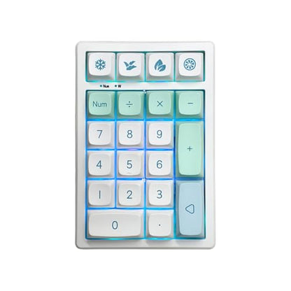 Gasket Creamy Mechanical Numpad Programmable Keypad 2.4G/BT/USB-C | Macro Numeric Number Pad Wireless 2.4G/Bluetooth 5.0/Wired USB RGB Backlit Hot Swappable Rechargeable PBT Keycaps for Win/Mac - color: Mint (21 Keys)