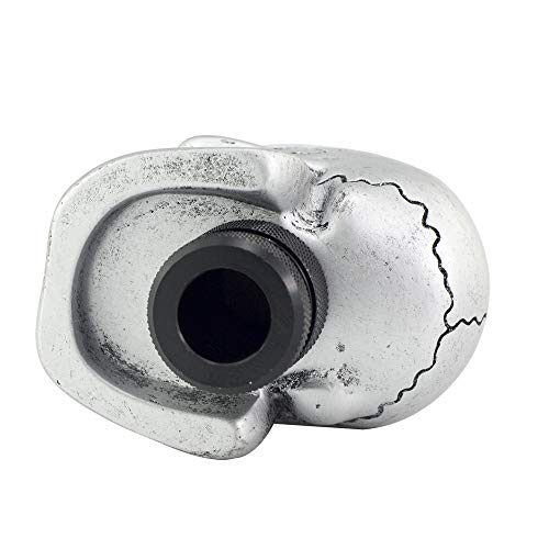 Silver Skull Manual Automatic Gear Shift Knobs - color: Silver