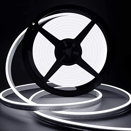 Lamomo LED Neon Rope Light, 12V White Neon LED Strip Light, 16.4ft/5m Dimmable Waterproof Strip Lighting, Silicone DIY Sign for Bedroom Indoor Home Decor (Power Adapter Included) - color: White, size: 16.4FT