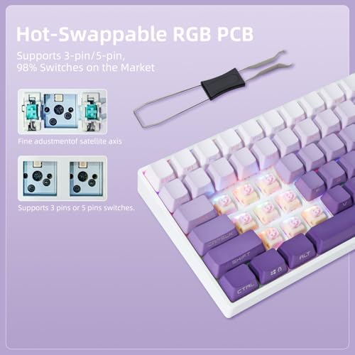 ZORNHER ZH100 Wireless Mechanical Keyboard,98% Purple Creamy Keyboard with Number Pad,Full Size Gaming Keyboard,Lighted Up PBT Dipped Keycaps,KKT Red Switches - color: Purple Gradient, size: TTC Red Switch (Linear Switch)