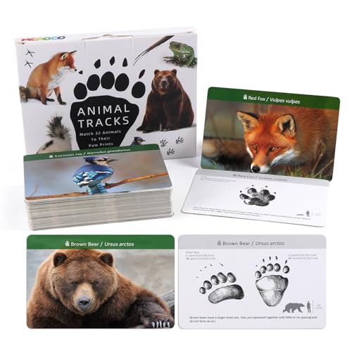 MEROCO Forest Animals Tracks Cards for Kids,Animal Tracks Matching Game Flash Cards,Homeschool Animal Games Kids Learning Educational Toys Preschool Autism Learning Materials - style: Forest Animals And Birds Tracks Cards