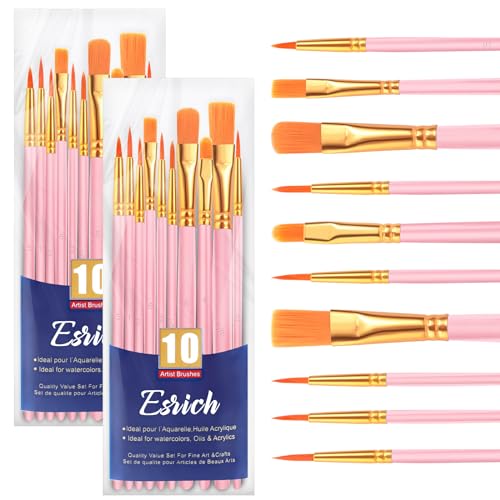 ESRICH Paint Brushes Set, 2 Packs 20 Pcs Acrylic Paint Brush Set, Watercolor Oil Acrylic Nylon Hair Brushes, Artist Paintbrushes for Acrylic Oil Watercolor Painting Artist Professional Kits,Pink - color: Pink, size: 20
