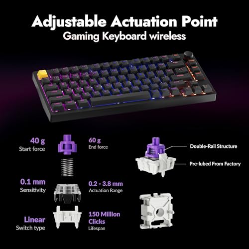 LEMOKEY P1 HE 75% Wireless Custom Mechanical Gaming Keyboard with Gateron Double-Rail Magnetic Switches Knob Version, QMK 2.4 GHz Bluetooth 5.2 RGB Backlight Compatible with Mac Windows Linux-Black - color: Shine-Through-Black
