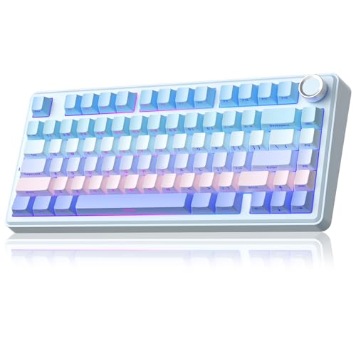 SOLAKAKA A75 Wireless Mechanical Keyboard, Hot Swappable Gaming Keyboard with RGB Backlit, Multifunction Knob, Gasket Mounted Creamy Keyboard, BT5.0/2.4GHz/USB-C, 75% Compact Layout for Win/Mac/PC - color: Gradient-BluePurple