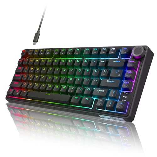 RK ROYAL KLUDGE R75 Wired Mechanical Gaming Keyboard, 75% Hot-Swap Mechanical Keyboard Volume Knob, Soft Pre-lubed Tactile Brown Switch - color: pure black