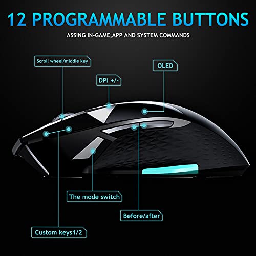RAPOO VT900 Wired Gaming Mouse, 16K DPI Optical Sensor, IR Optical Gaming Mouse, Customize OLED Display Ergonomic Mouse, Onboard Memory with 10 Programmable Buttons, Adjustable Counter Weight, Black