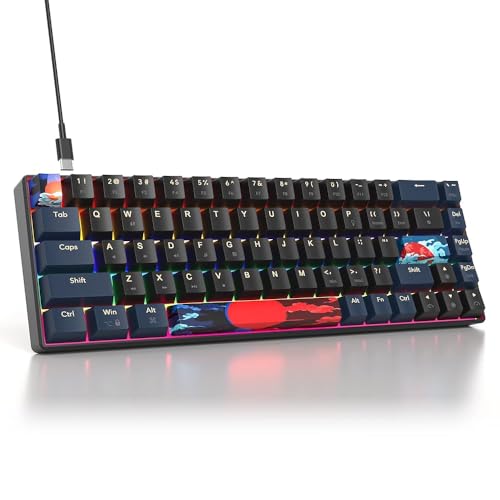 Portable 60% Mechanical Gaming Keyboard Black/Blue, Rainbow Backlit Wired Key Board with Red Switch, Compact 68 Keys Mini Office Keyboards for Laptop PC (68 Blue Warrior B/Red Switch) - color: 68 Blue Warrior B/Red Switch