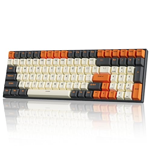 RK ROYAL KLUDGE RK100 Wireless Mechanical Keyboard RGB Backlit Bluetooth5.1/2.4G/Wired 96% Full Size 100-Key Hot Swappable Gaming Keyboard Blue Switch Carbon | 96% Full Size Keyboard with Number Pad, 2.4Ghz/BT/Wired, Hot Swappable PCB, 3750mAh battery, RG