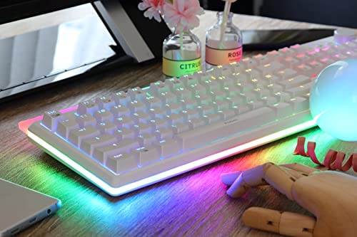 i-rocks K71M RGB Mechanical Gaming Keyboard with Media Control Knob, Blue Switches, 107 Keys w/Full NKRO, PBT Keycaps, Multimedia Hotkeys, Detachable USB-C Cable and Onboard Storage, White - color: White, size: Switches (Gateron Blue)