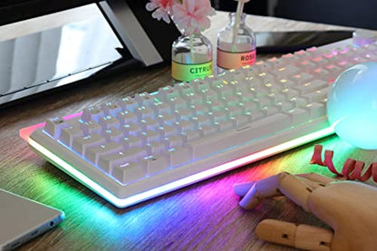 i-rocks K71M RGB Mechanical Gaming Keyboard with Media Control Knob, Blue Switches, 107 Keys w/Full NKRO, PBT Keycaps, Multimedia Hotkeys, Detachable USB-C Cable and Onboard Storage, White - color: White, size: Switches (Gateron Blue)