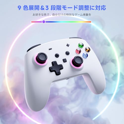 ECHTPower Switch 2 Pro Controller with Hall Effect Joysticks, One-Key Wake-Up for Switch 2, Wireless Controller for Switch 2/Switch/Lite/OLED, Turbo Button, 4 Back Buttons, RGB Lighting, 3.5mm Jack, Dual Vibration, 6-Axis Gyro (Grey) - color: Grey
