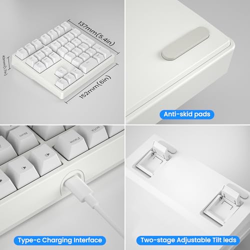 Gurjot Number Pad，Mechanical USB Wired Numeric Keypad with RGB LED Backlit,34 Keys Numpad Keyboard with PBT Keycaps Blue Switches for Windows/Mac Laptop,Computer,Desktop,PC,Notebook (White) - color: white