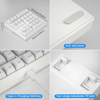 Gurjot Number Pad，Mechanical USB Wired Numeric Keypad with RGB LED Backlit,34 Keys Numpad Keyboard with PBT Keycaps Blue Switches for Windows/Mac Laptop,Computer,Desktop,PC,Notebook (White) - color: white