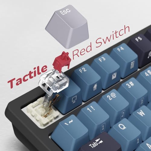 RK ROYAL KLUDGE RK98 Wireless Mechanical Keyboard, Triple Mode 2.4G/BT5.1/USB-C Hot Swappable Keyboard with Number Pad, Pre-lubed Linear Switches RGB Backlit Gaming Keyboard, Software Support - color: Blue, size: Hot Swap Red Switch