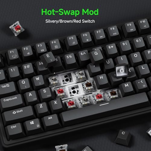 RK ROYAL KLUDGE R75 Wired Mechanical Gaming Keyboard, 75% Hot-Swap Mechanical Keyboard Volume Knob, Soft Pre-lubed Tactile Brown Switch - color: pure black