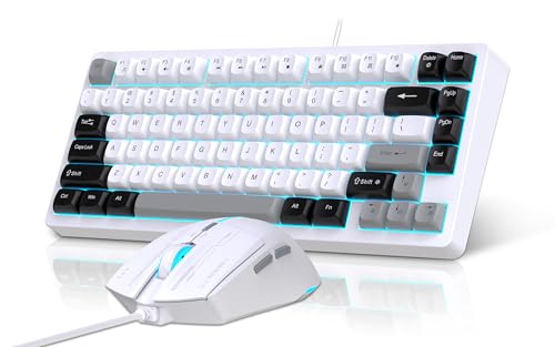 Snpurdiri 75% Wired Gaming Keyboard and Mouse Combo (Black Grey White) | 81-Key Compact Gaming Keyboard, Retro Round Keycaps Ice Blue Backlit Keyboard for Laptop, Easy to Carry on Business Trip - color: Black Grey White