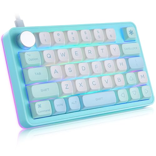 Koolertron Single-Handed Macro Mechanical Keyboard, RGB LED Backlit Portable Mini One-Handed Mechanical Gaming Keypad 39 Fully Programmable Keys (39 Keyboard Blue) - style: 39 Keyboard Blue