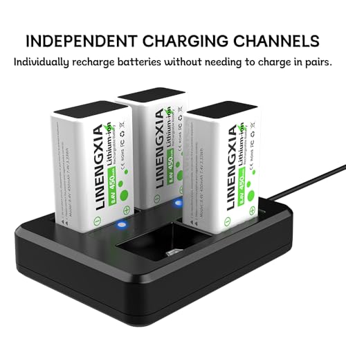 9V 450mAh Li-ion Rechargeable 4-Pack with 4-Slot Charger | 4-Slot Smart Charger, Independent Charging, MCU Protection, for Mics/Multimeters/Alarms, 1200 Cycles