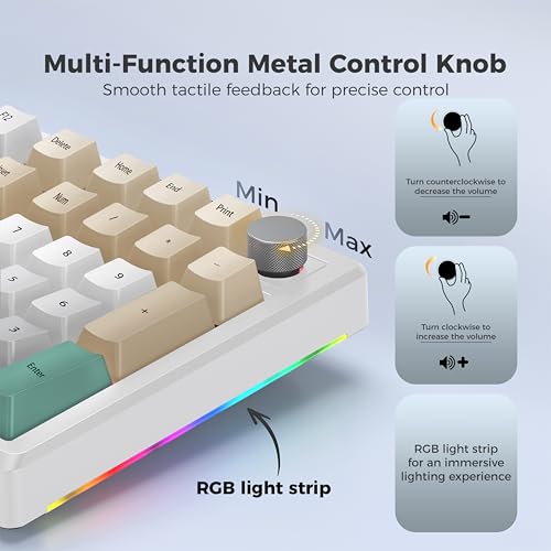 LUMI101 Wireless Mechanical Keyboard,Full-size keyboard with numeric keypad，Tri-Mode BT5.0/2.4GHz/USB-C Hot Swappable Custom Keyboard,RGB Backlit Computer Gaming Keyboards for PC/Tablet/PS/Xbox(Green) - color: Green