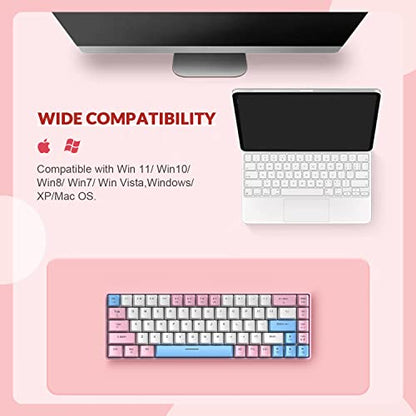 ZIYOU LANG RK-T8 Wired 65% Mechanical RGB Gaming Keyboard-Pink/White/Blue | Rainbow Backlit,Anti-ghosting,TKL,Mini 68 Key,Custom Coiled C to A Cable,Tactile Blue Switch for PS4 PS5 Xbox PC Mac Gamer - color: Pink White Blue, size: 65% Keyboard