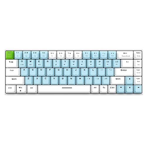 Qisan Mechanical Gaming Keyboard Dual Mode 2.4G/BT Wireless Keyboard with Blue Switch Mini Design (60% Keyboard) 68 Keys Computer Keyboard US Layout | Gaming Pc | Wireless Gaming Keyboard - color: Blue Switch Blue & White Combo Color