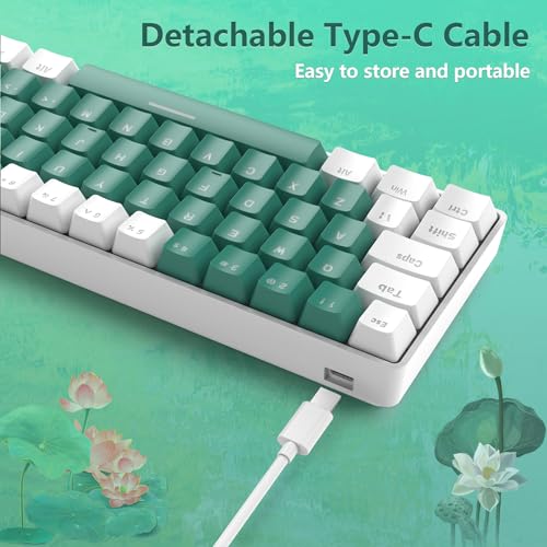 RK-T60 Wired 60% TKL Mechanical Gaming Keyboard Led Rainbow Backlight Ultra-Compact NKRO Linear Red Switch ABS Keycap RGB Honeycomb Mice Coiled Aviator Cable for Windows Laptop PS4/PC/WIN Gamer - color: Green/Blue Switch