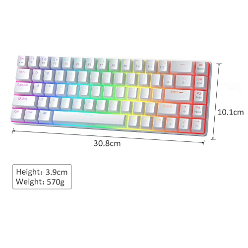 MageGee Portable 60% Mechanical Gaming Keyboard, Red Switch, PBT Pudding Keycaps RGB Backlit Compact 68 Keys Mini Wired Office Keyboard for Windows Laptop PC - White - color: Ivory White /Red Switch