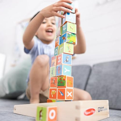 Melissa & Doug National Parks Alphabet & Animals 24-Piece Cube Puzzle (Everglades, Arches, Yellowstone) - FSC Certified