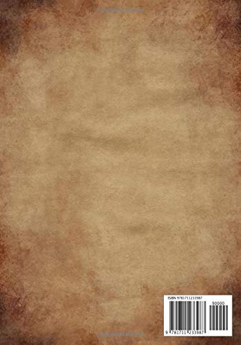 RPG Journal: Mixed paper: Ruled, graph, hex: For role playing gamers: Notes, tracking, mapping, terrain plans: Necromancer Interrogator