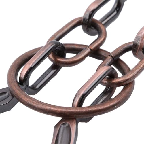 Metal Brain Teaser Puzzle Ring, Horseshoe Cast Puzzle Game, IQ Logic Test, Disentanglement Puzzle for Adults