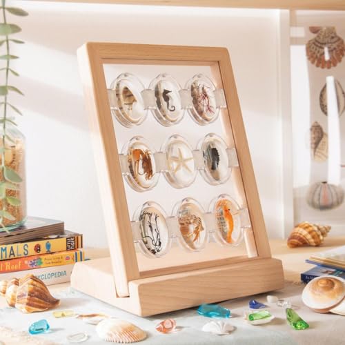 Kaplan Early Learning Company Specimen Stone Tabletop Stand