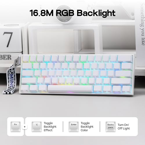 MechLands Aula Mini60 HE PRO Wireless Hall Effect Gaming Keyboard, 4000mAh | Magnetic Keyboard with 8K Polling, Fast Trigger, SOCD & DKS, Adjustable Actuation, RGB Backlit, Sound Dampening (White) - color: White