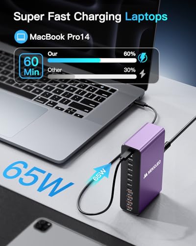 12 Ports Aluminum Alloy 380W Charging Station Fast USB C Charger Block | 65W Laptop GaN Charger for MacBook Pro/Air/iPad Pro/iPhone (Purple) - color: Purple