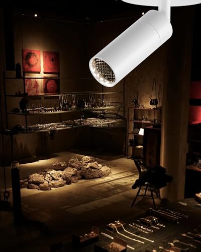 Zoomable LED Ceiling Spotlight Fixture, Flush Mount Adjustable Spotlight, Indoor Bright Accent Monopoint Fixture for Living Room Bedroom Loft Cafe Bar - color: Embedded-White, size: 7W-3000K