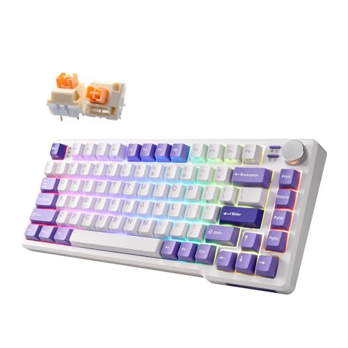 iRocks K103R Wireless Rechargeable RGB 75% Mechanical Gaming Keyboard, Hot Swappable Pre-lubed Switches, 81 PBT Keys, Gasket Mount, USB-C Detachable Cable (Lavender Purple, Silent Bubble Switch) - color: Lavender Purple, size: Silent Bubble Switch