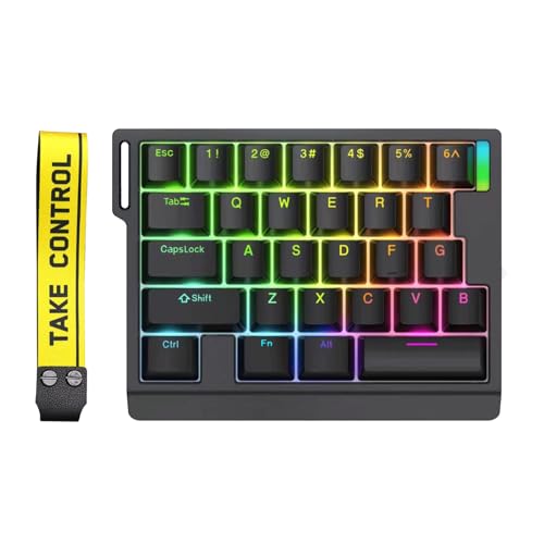 HE30 Rapid Trigger Gaming Keyboard,One-Handed Magnetic Switch Hall Effect RGB HotSwap Custom Mechanical Keyboard Adjustable Actuation,8kHz Hyper Polling Rate Mini Macro Gasket Keypad (Black)