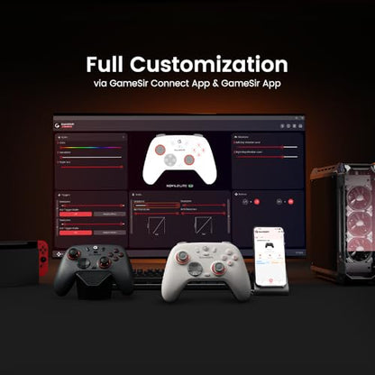 GameSir Nova Lite 2 Wireless PC Controller Hall Effect Sticks | Hall Effect Triggers,2.4G & Wired 1000Hz Polling Rate, Remappable Buttons - Compatible with PC/Switch/Steam/Android - color: Grey