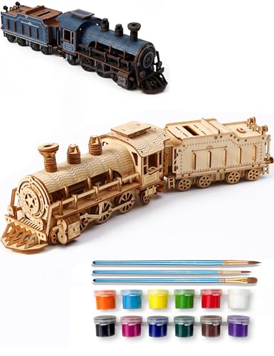 BOOZUU 3D Wooden Steam Train Puzzle for Adults, Build and Paint Wooden Train Model Kit, 282 Pcs DIY Train Craft for Teen Age 14+