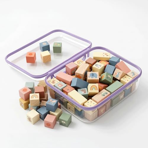 Clear Hard Shell Organizer Cases, 3 Pack with Handle | Durable PET shell with water-resistant, scratch-resistant surface for travel, toiletries, electronics and toys - color: Purple1