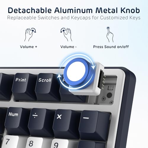 RK ROYAL KLUDGE X104 Wired Full Size Mechanical Gaming Keyboard, Metal Knob | Creamy Keyboard with Number Pad,104 Keys RGB Computer Keyboard Hot Swappable Linear Switch, Online Software for Wins/Mac - color: Star Blue, size: Creamy Linear Switch