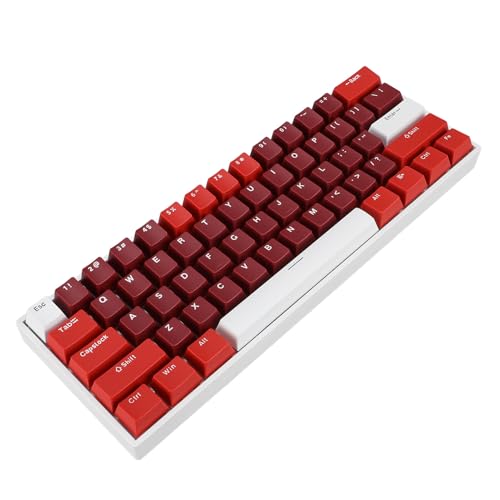 FILFEEL Ergonomic 61 Key Mechanical Keyboard Hot Swappable Blue Switch RGB Backlit Compact 60 Percent USB Wired Gaming Office Typing Portable Minimalist Desk Setup for Gamers Programmers